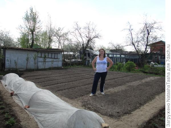 Весной хлопот невпроворот