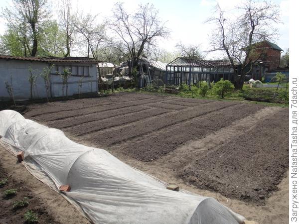 Весной хлопот невпроворот