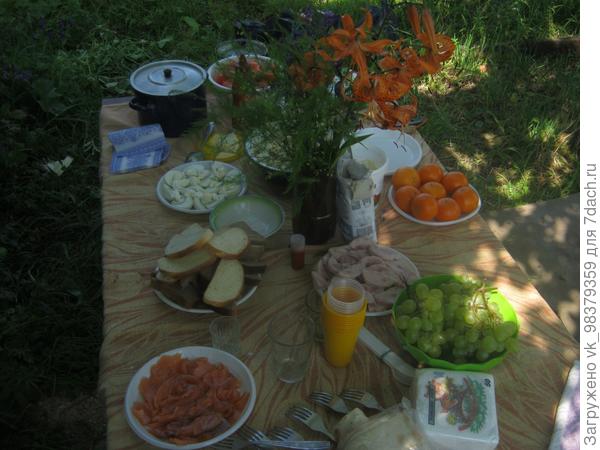 Мой лучший день на даче.