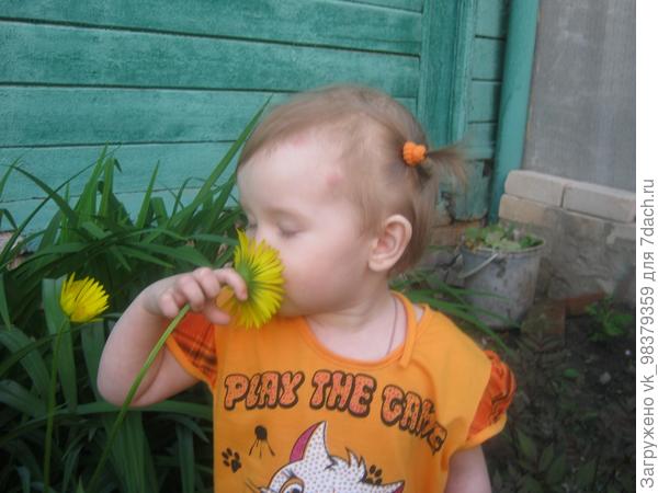Ужасно интересно всё то, что не известно...