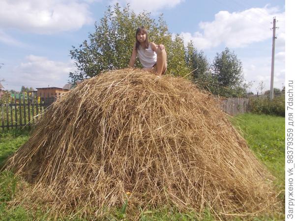 Ужасно интересно всё то, что не известно...