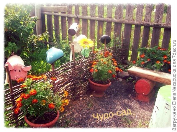 Чудо-сад