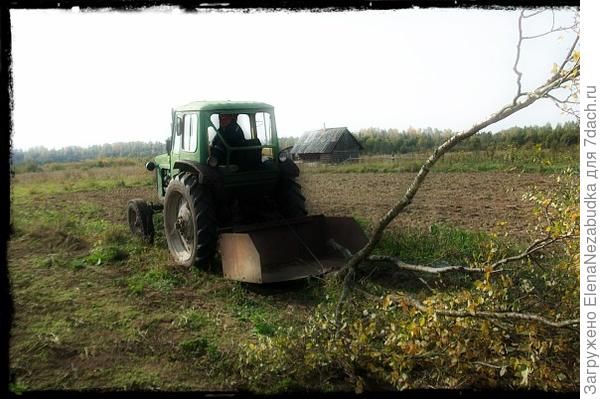 Наши дачные помощники =)