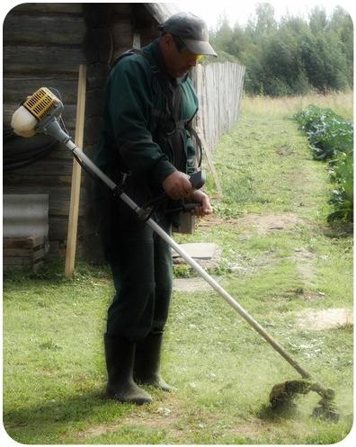 Наши дачные помощники =)