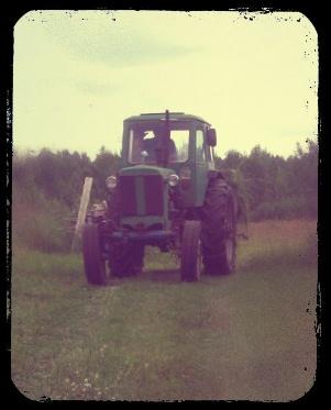 Наши дачные помощники =)