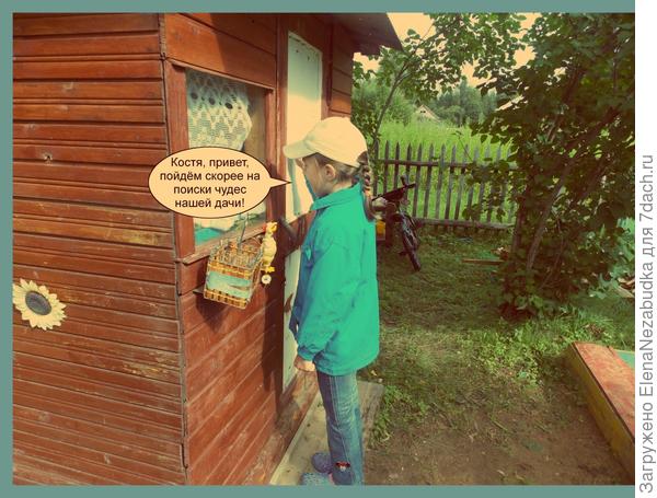 5 чудес дачи