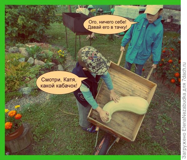 5 чудес дачи