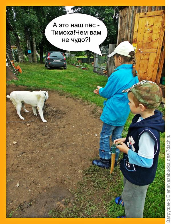 5 чудес дачи