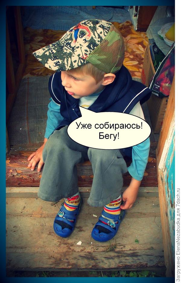 5 чудес дачи