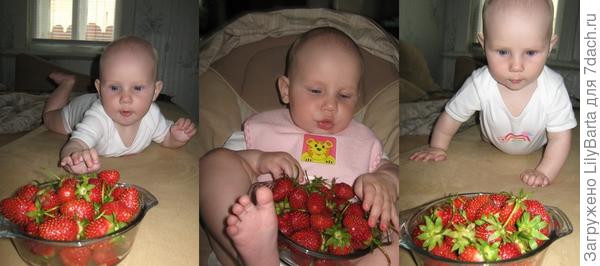 Фотоистория маленькой дачницы