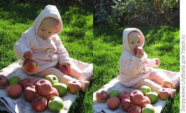 Фотоистория маленькой дачницы