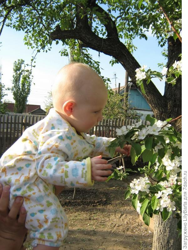 Фотоистория маленькой дачницы
