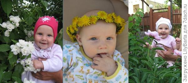 Фотоистория маленькой дачницы