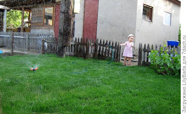 Из заметок маленькой дачницы.