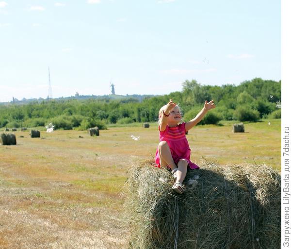 сенокос за Волгой.