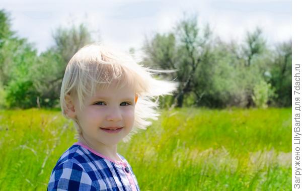 зеленые поля