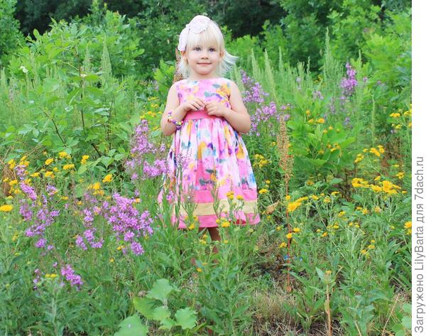 цветы в полях у ериков