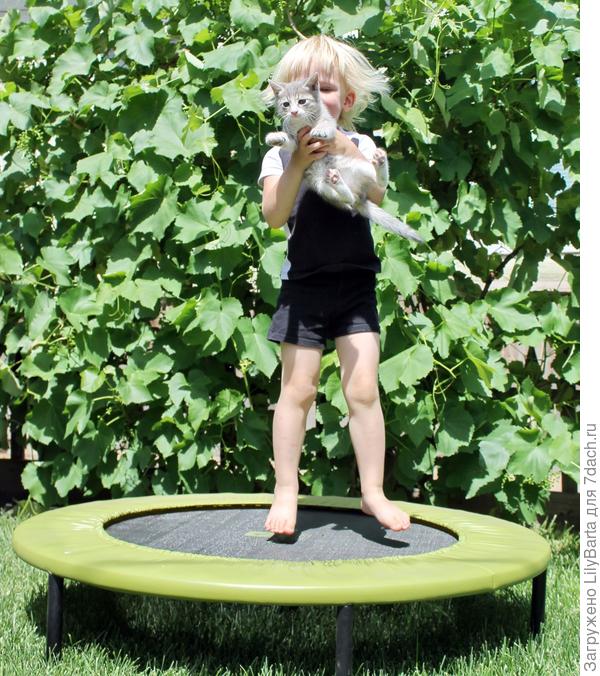 кот Юрик с дочкой