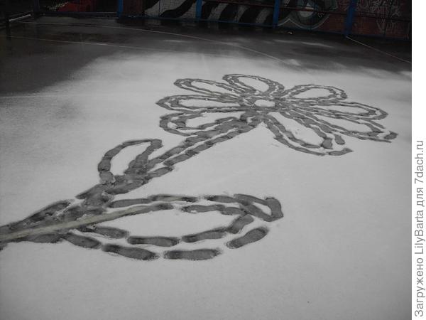 цветок на снегу