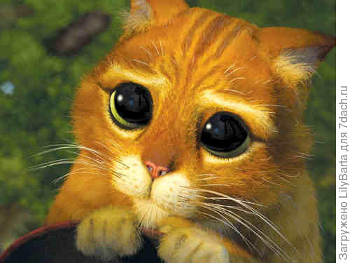 кадр из мультфильма