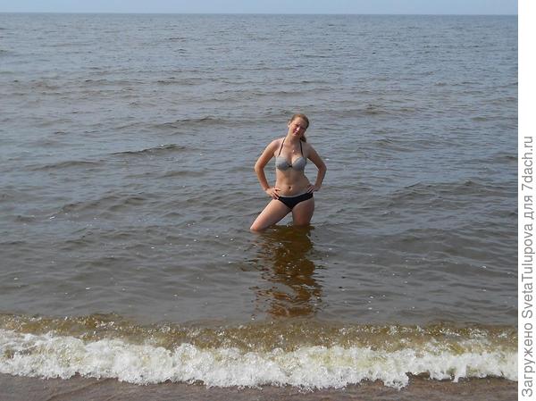 Дачная жизнь