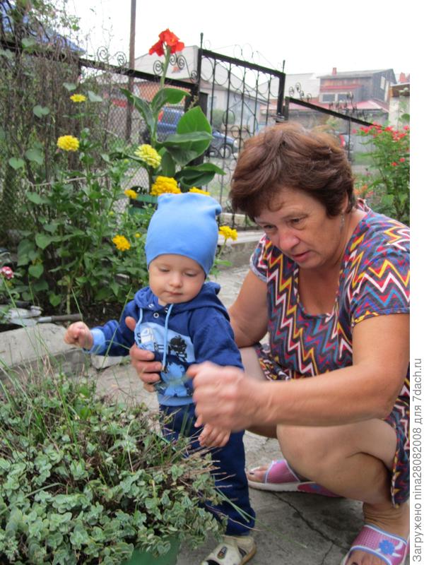 дача - это место, где отдыхаешь работая)