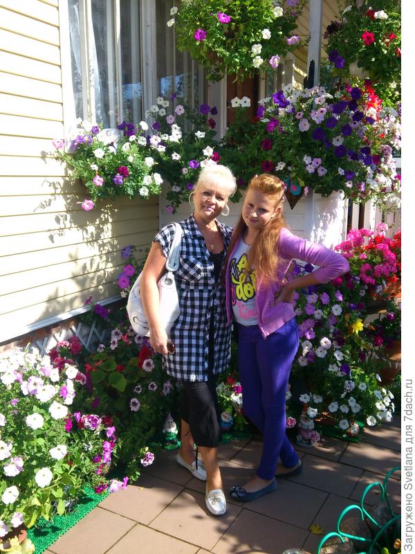 моя любимая дача