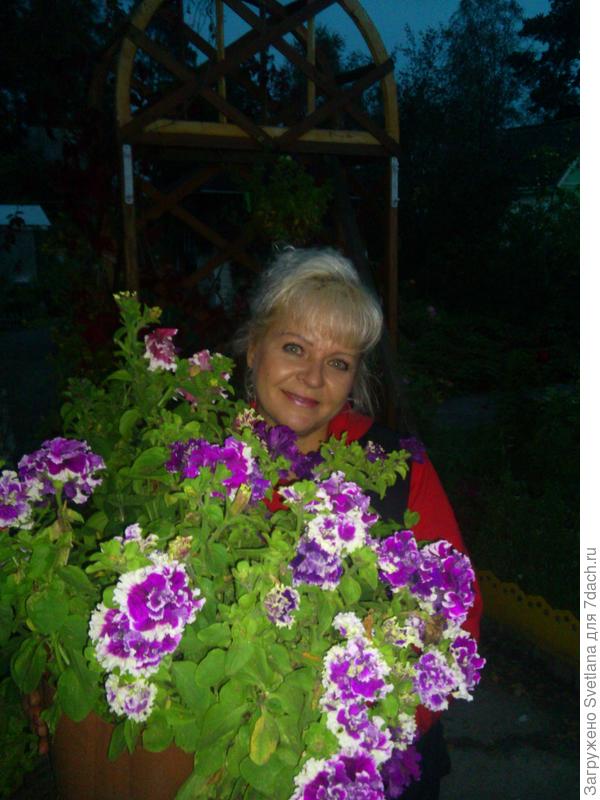 Мои любимые цветы