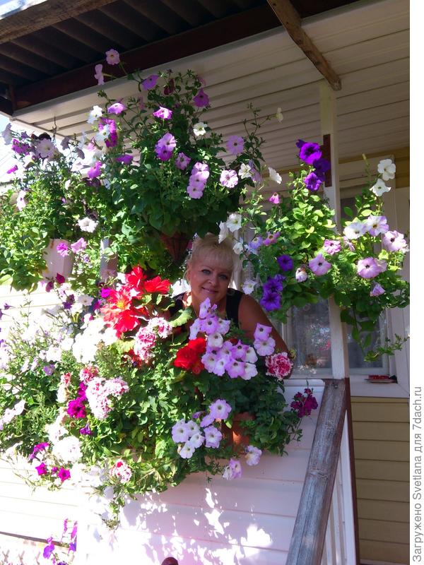 моя любимая дача