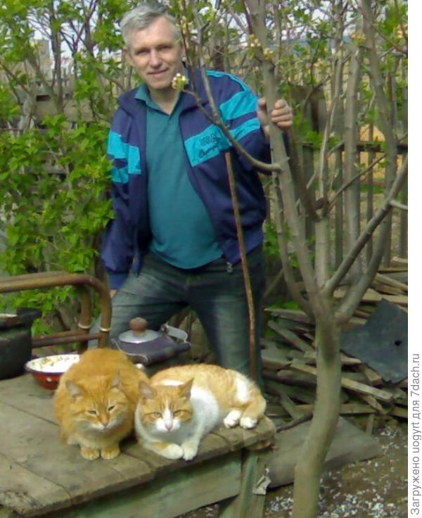 Оазис астраханских степей