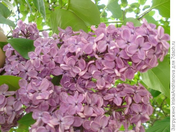 Место для отдыха душой и телом