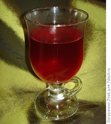 Целебный шиповник