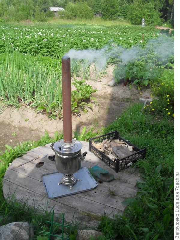 Наш удивительный уголок природы!