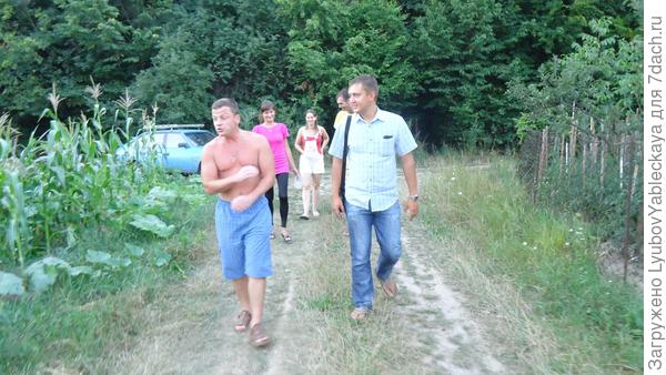 Лесные истории