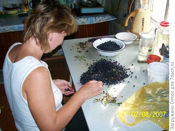 Наша деревня богата на урожай: ягоды, грибы...а также охотничьи и рыболовные трофеи! Вот так замечательно у нас!