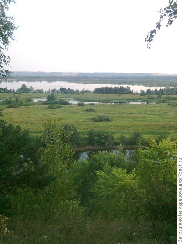 на берегу волги