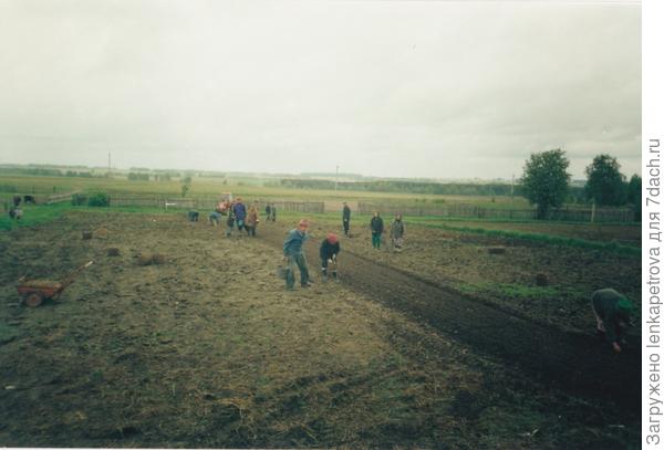 посадка картошки