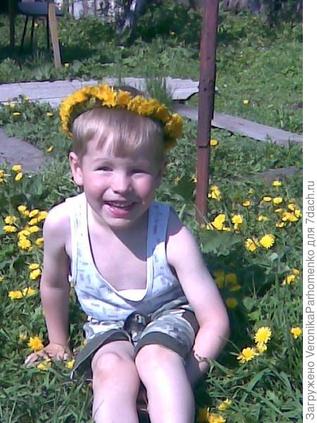 Мой маленький дачник