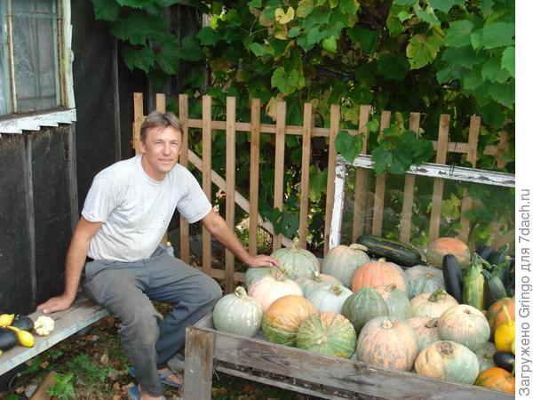 Любимая дача