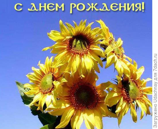 С Днём Рождения!