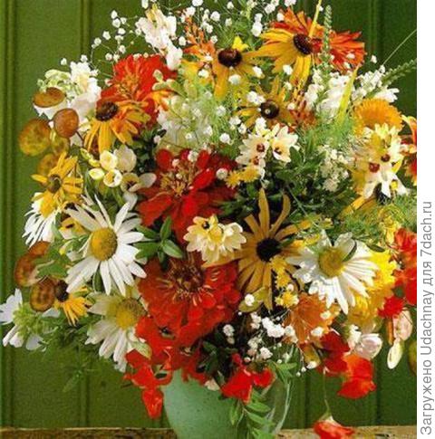 Вас поздравить рада я!