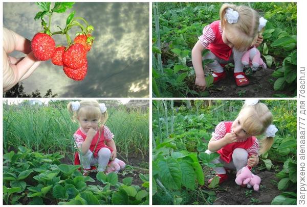 Дачная история одной удачная простой русской семьи!