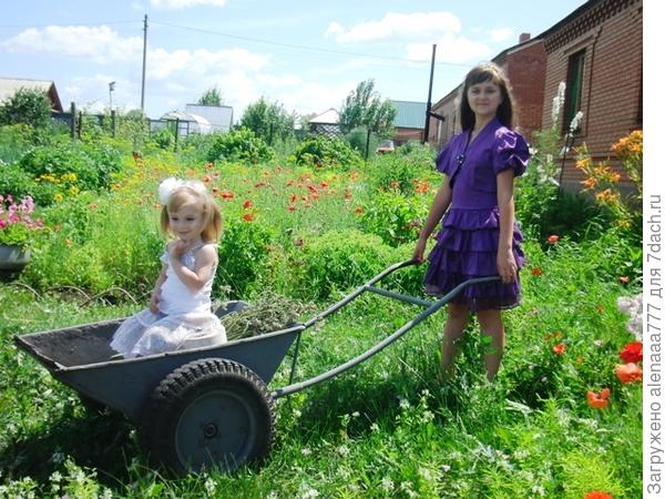 Дачная история одной удачная простой русской семьи!