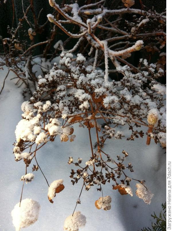 Зима в её красе.