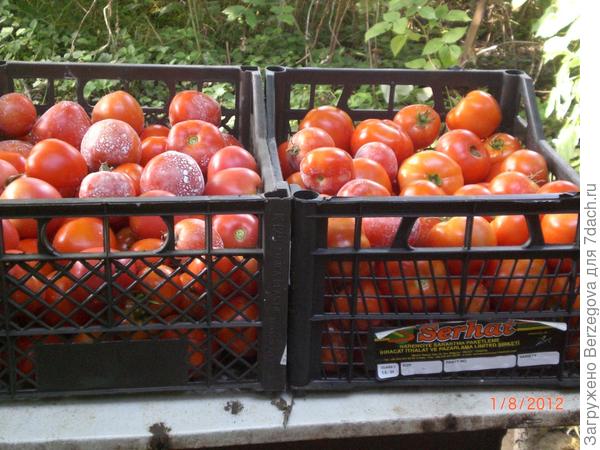 Всё в ваших руках.