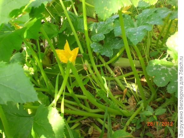 Всё в ваших руках.