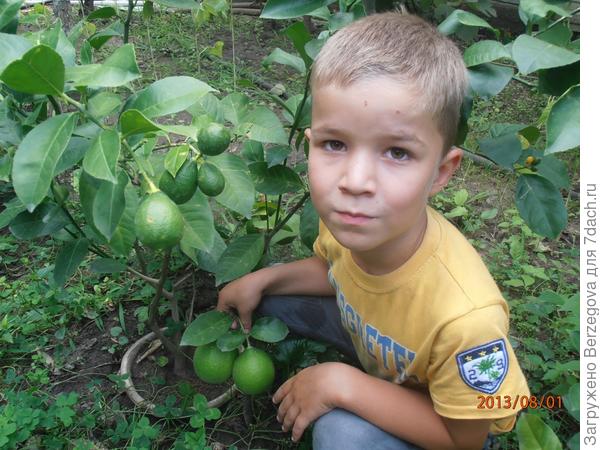 Помощник.  ((Рустам, 5 лет.