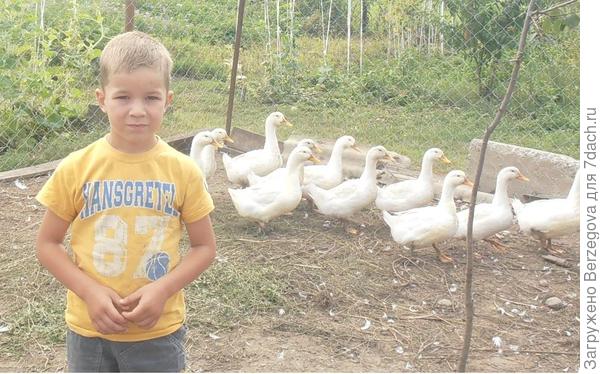 Помощник.  ((Рустам, 5 лет.