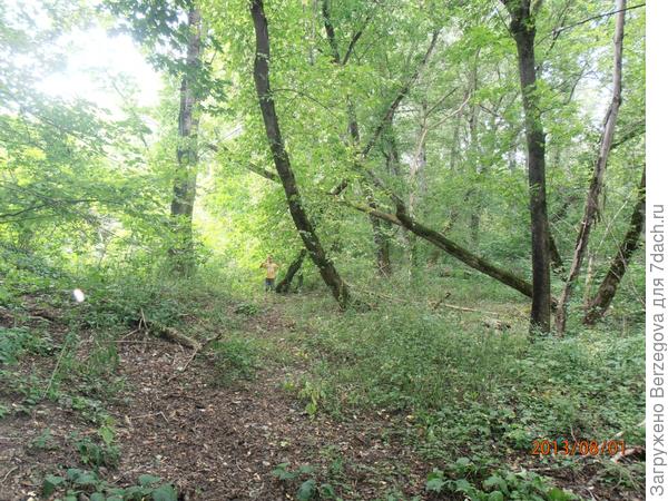 Помощник.  ((Рустам, 5 лет.