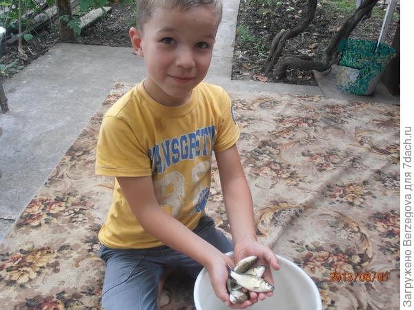 Помощник.  ((Рустам, 5 лет.